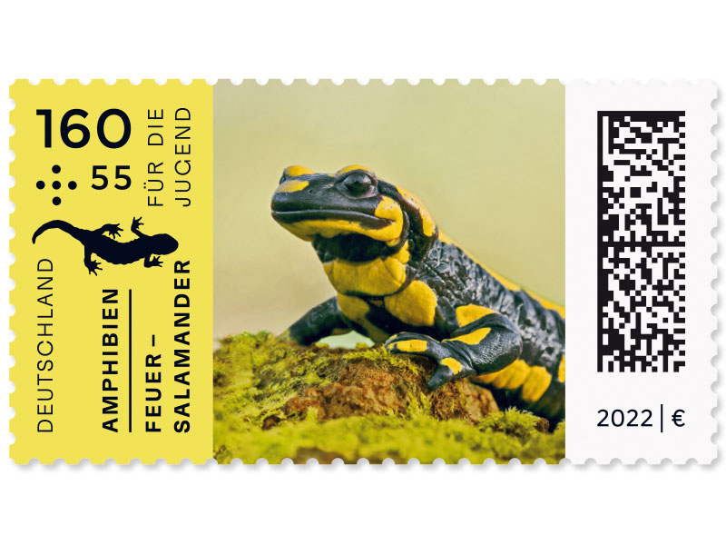 Feuersalamander nach einer Vorlage