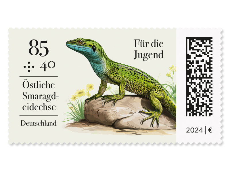stliche Smaragdeidechse auf einem Stein