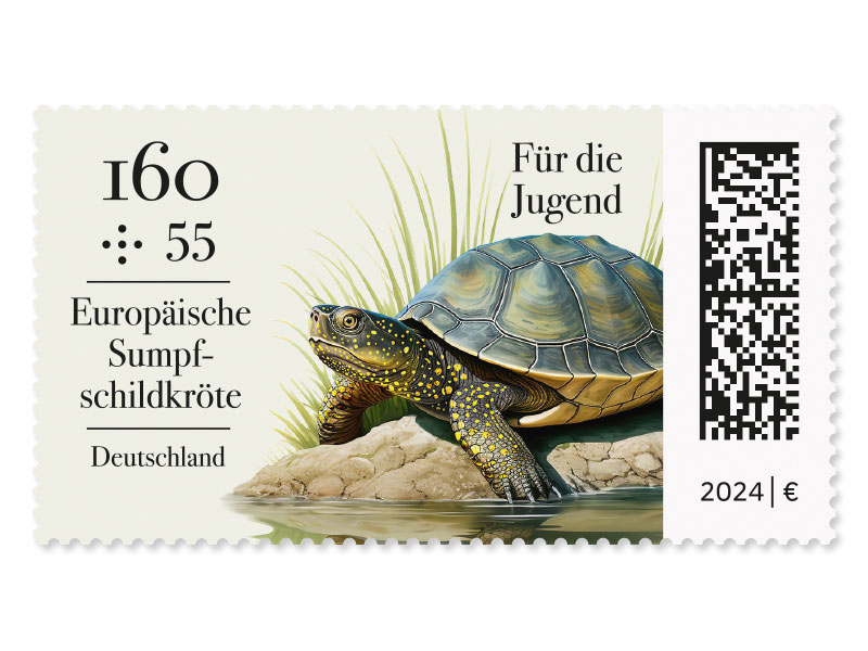 Europische Sumpfschildkrte am Ufer