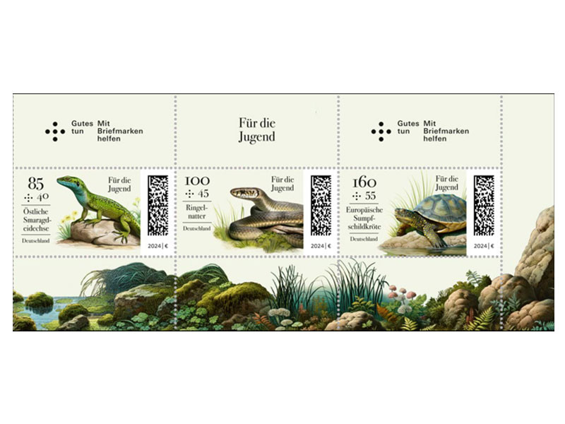 stliche Smaragdeidechse Ringelnatter und Europische Sumpfschildkrte