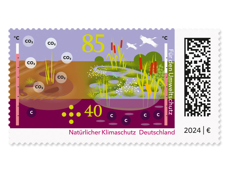 Gegenberstellung eines trockengelegten und eines wiedervernssten Moores